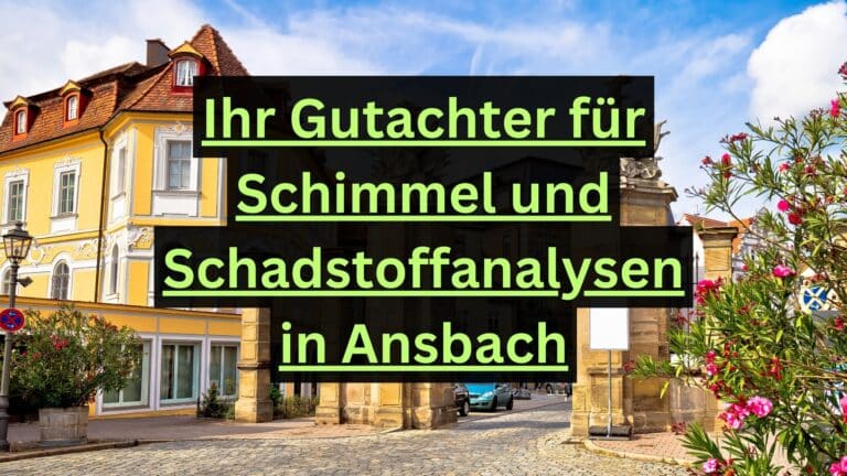 Ihr Gutachter für Schimmel und Schadstoffanalysen in Ansbach