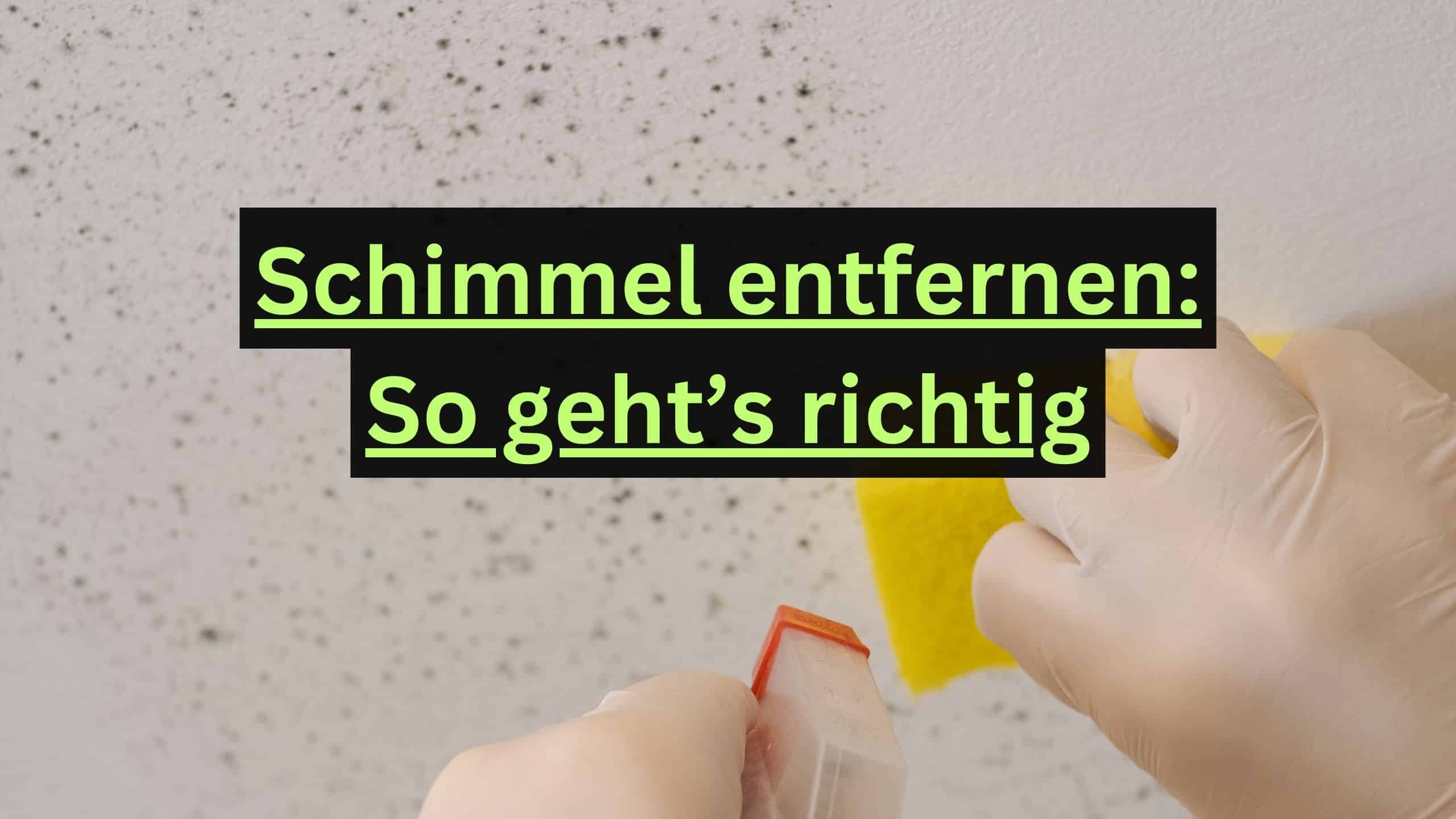 Schimmel entfernen So geht’s richtig