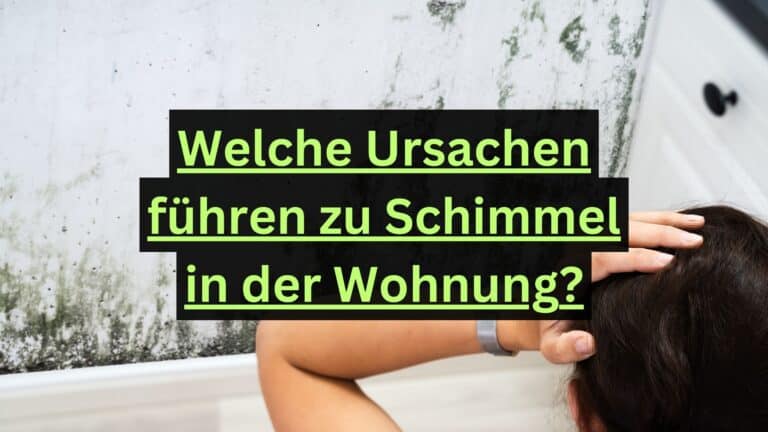 Welche Ursachen führen zu Schimmel in der Wohnung?