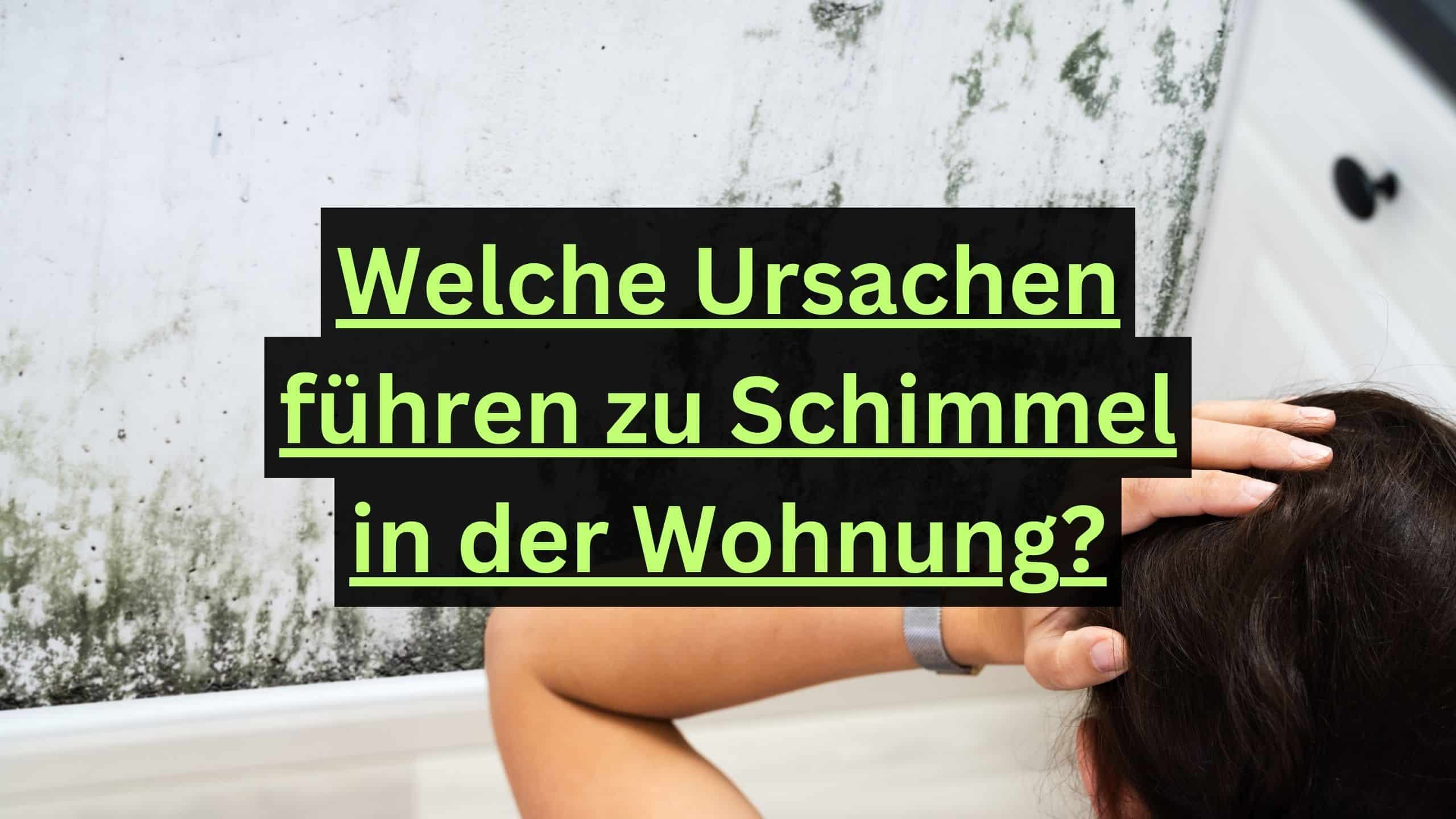 Welche Ursachen führen zu Schimmel in der Wohnung?